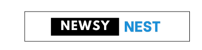 Newsy Nest